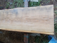 Eiche Wildeiche Sonderposten #624 Tischplatte Theke River-Table Epoxid 35-40x5x200cm