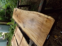 Eiche Wildeiche Sonderposten #648 Tischplatte Theke River-Table Epoxid 40-45x5x200cm