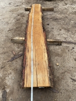 Eiche Wildeiche Sonderposten #584 Tischplatte Theke River-Table Epoxid 35-40x5x297cm