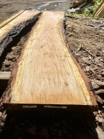 Eiche Wildeiche Sonderposten #700 Tischplatte Theke River-Table Epoxid 45-50x5x266,50cm