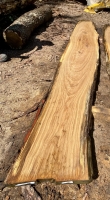 Eiche Wildeiche Sonderposten #712 Tischplatte Theke River-Table Epoxid 45-50x5x349cm