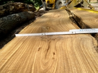 Eiche Wildeiche Sonderposten #716 Tischplatte Theke River-Table Epoxid 45-50x5x347cm