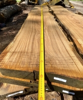 Eiche Wildeiche Sonderposten #716 Tischplatte Theke River-Table Epoxid 45-50x5x347cm