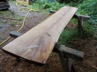 Eiche Wildeiche Sonderposten #619 Tischplatte Theke River-Table Epoxid 35-40x5x200cm