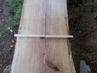 Eiche Wildeiche Sonderposten #619 Tischplatte Theke River-Table Epoxid 35-40x5x200cm