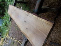 Eiche Wildeiche Sonderposten #625 Tischplatte Theke River-Table Epoxid 30-35x5x200cm