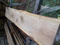 Eiche Wildeiche Sonderposten #625 Tischplatte Theke River-Table Epoxid 30-35x5x200cm