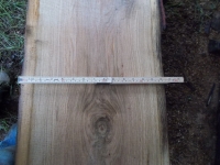 Eiche Wildeiche Sonderposten #625 Tischplatte Theke River-Table Epoxid 30-35x5x200cm