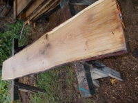 Eiche Wildeiche Sonderposten #626 Tischplatte Theke River-Table Epoxid 25-30x5x200cm