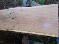 Eiche Wildeiche Sonderposten #626 Tischplatte Theke River-Table Epoxid 25-30x5x200cm