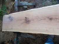 Eiche Wildeiche Sonderposten #630 Tischplatte Theke River-Table Epoxid 30-35x5x200cm