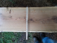 Eiche Wildeiche Sonderposten #630 Tischplatte Theke River-Table Epoxid 30-35x5x200cm