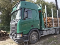40RM Brennholz Schwarten Sägewerksabfälle Kaminholz LKW-Ladung inkl. Lieferung bis 50km Entfernung