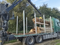 40RM Brennholz Schwarten Sägewerksabfälle Kaminholz LKW-Ladung inkl. Lieferung bis 50km Entfernung