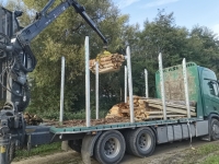 40RM Brennholz Schwarten Sägewerksabfälle Kaminholz LKW-Ladung inkl. Lieferung bis 50km Entfernung