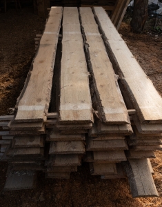 Fichte 14-24x2,3x300