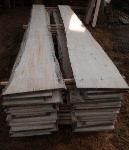 Fichte 27-40x2,3x300