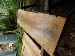 Eiche Wildeiche Sonderposten #647 Tischplatte Theke River-Table Epoxid 40-45x5x200cm