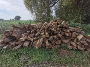 Eichenspaltpfähle gesägt Länge 250cm Rückenbreite 8 bis 15 cm